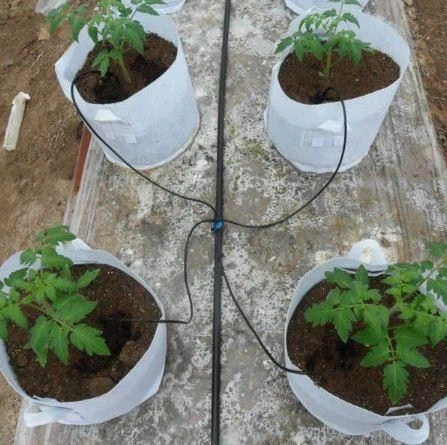 Arrow Drippers For Garden Irrigation