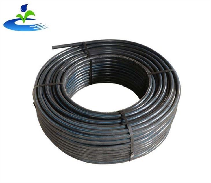 Политрубное