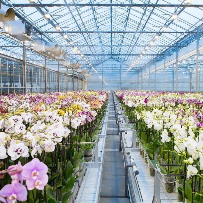 Раздвижные