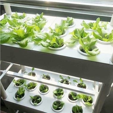 4-Многоуровневый гидропонный садовый комплект со светодиодной подсветкой