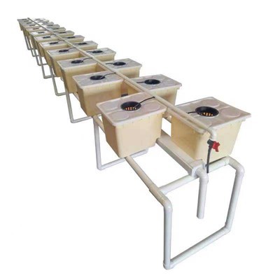 Dutch Bucket Plants Гидропонные Dutch Bucket Системы Dutch Bucket Hydroponic