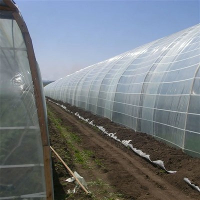 Устойчивая к ультрафиолетовому излучению 200-микронная пластиковая пленка для теплиц - прочное сельскохозяйственное покрытие
